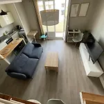 דירה Magnifique Duplex Avec 2 Et Parking Gratuit גרנובל