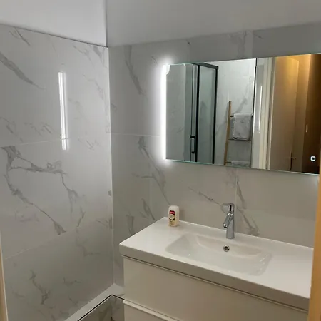 Alpes Nest -duplex 2 3 Lits Parking Gratuit Clim Mobile * Grenoble