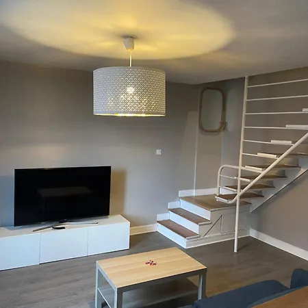 Alpes Nest -duplex 2 3 Lits Parking Gratuit Clim Mobile Lejlighed