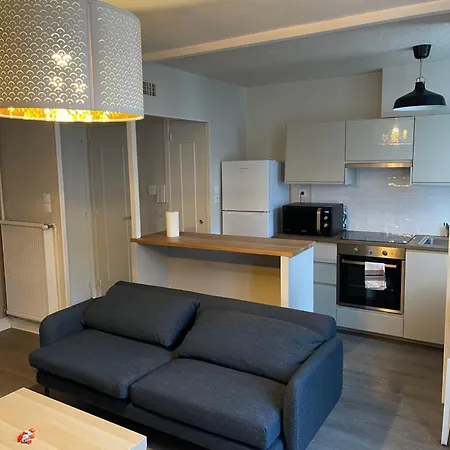 Lejlighed Alpes Nest -duplex 2 3 Lits Parking Gratuit Clim Mobile *