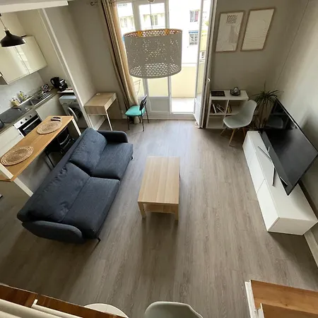 Lejlighed Alpes Nest -duplex 2 3 Lits Parking Gratuit Clim Mobile Grenoble