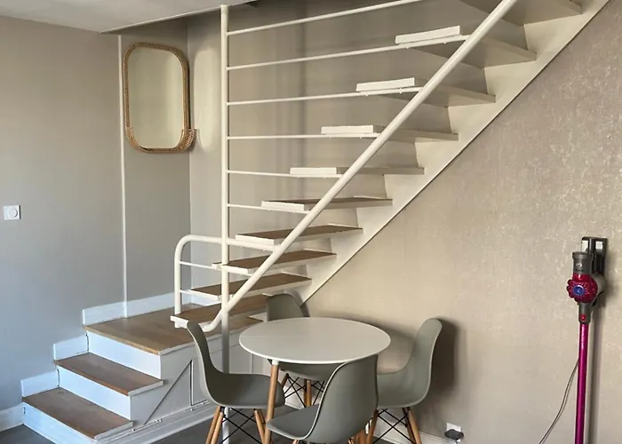 Magnifique Duplex Avec 2 Et Parking Gratuit غرونوبل