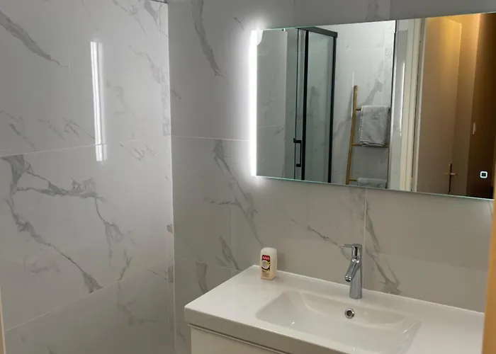 Magnifique Duplex Avec 2 Et Parking Gratuit * Гренобль